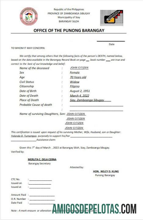 Certidão de Óbito de Punong de Punong Barangay modelo